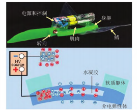 ATA-7030高压放大器在介电弹性体智能材料中的应用